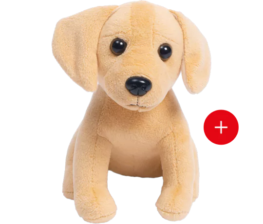 le labrador